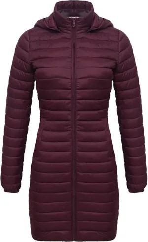 Women's Lightweight Puffer Jackets Winter Warm Long Sleeve Zip Quilted Padded Jacket Plus Size Down Jackets With Hood